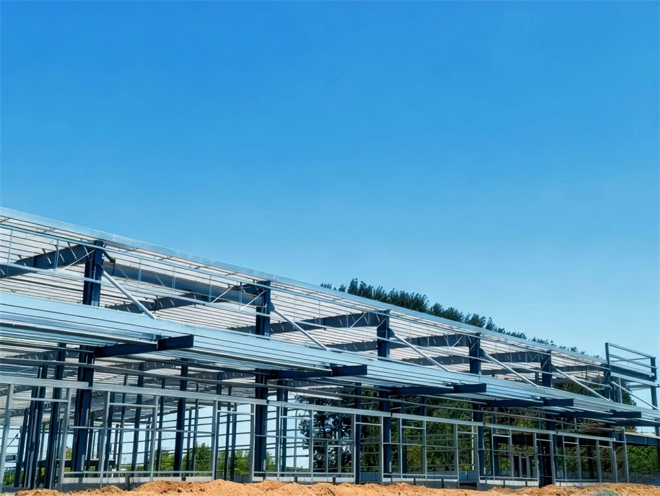 steel-structure-logistics-center-under-construction-steel-frame-layout